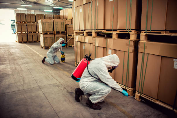 Best Exterminator Services  in Pine Manor, FL