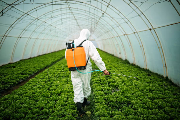 Pest Prevention Services in Pine Manor, FL