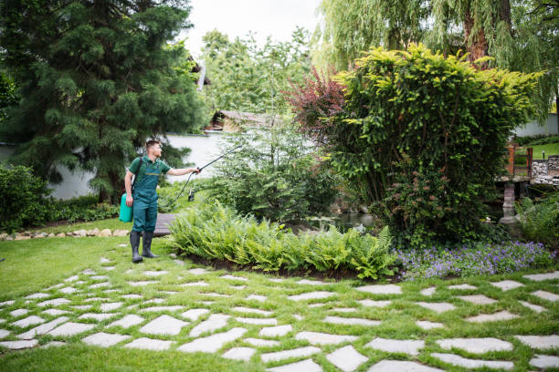 Best Pest Control Treatment  in Pine Manor, FL