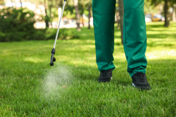 Best Exterminator Services  in Pine Manor, FL