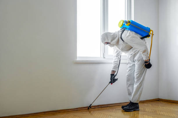 Best Best Pest Control Near Me  in Pine Manor, FL