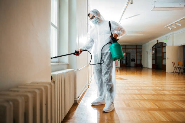 Flea Control Services in Pine Manor, FL