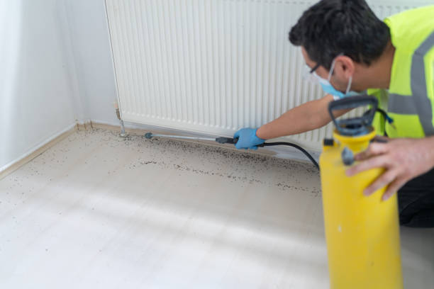Best Residential Pest Control  in Pine Manor, FL